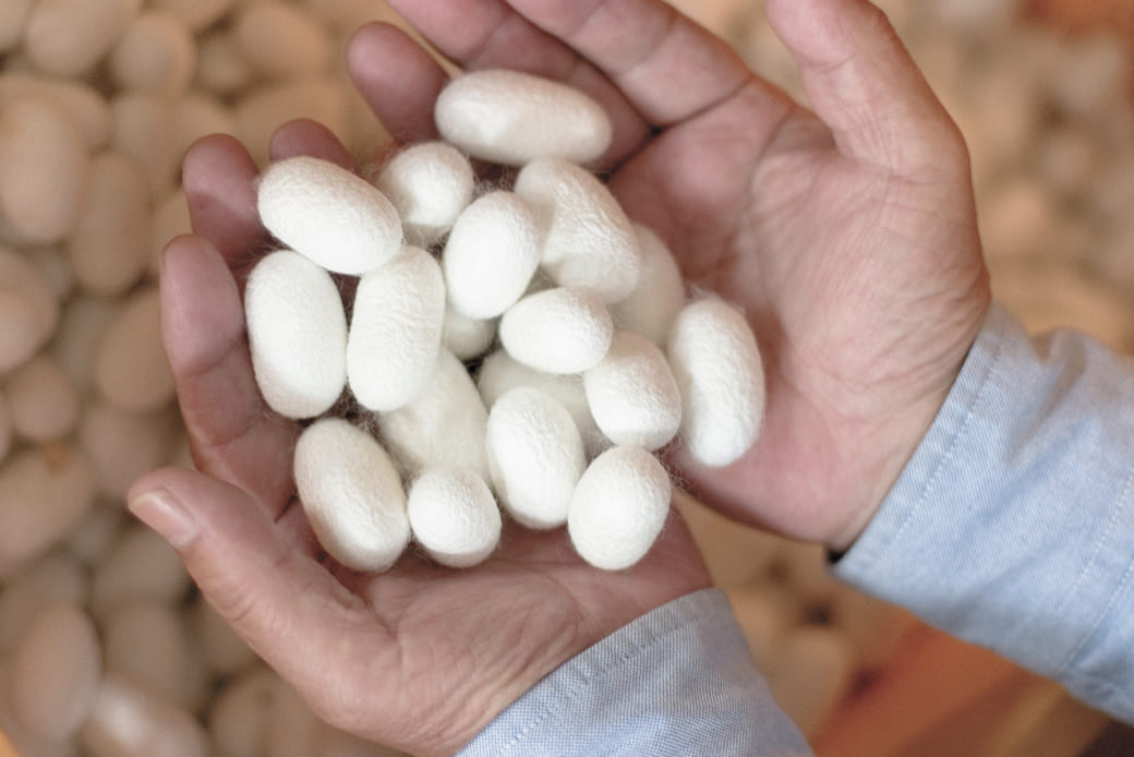 光沢の奇跡 ──「プラチナボーイ」という挑戦