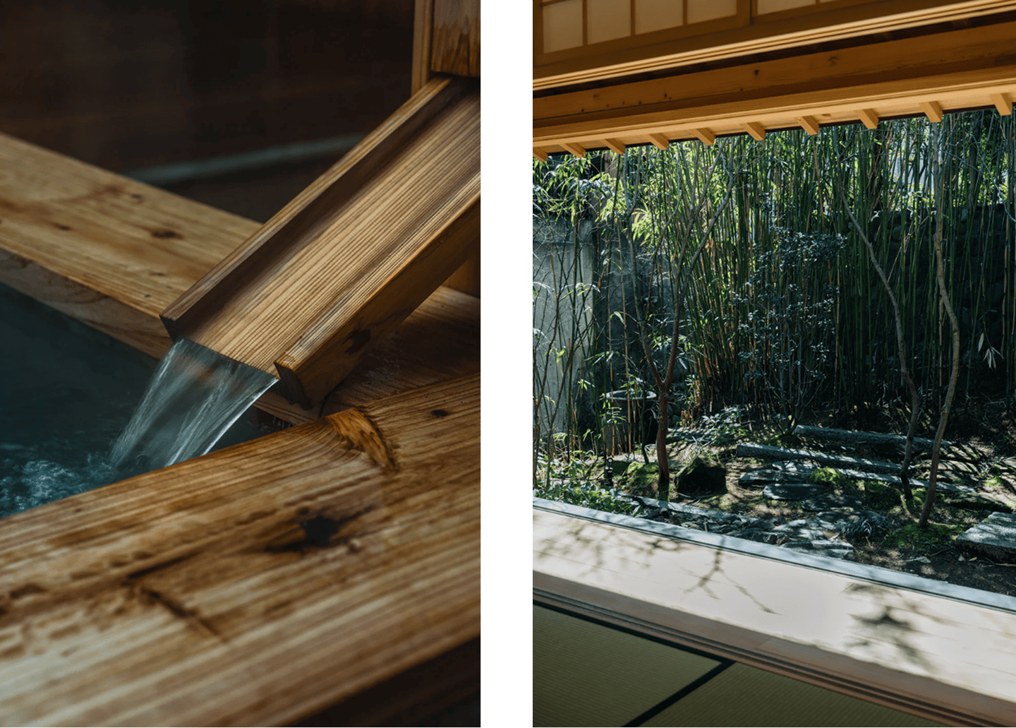 NIWA鎌倉という場所──自然と対話する建築